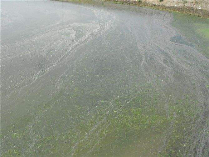 池塘消泡劑應(yīng)用場景 池塘消泡劑應(yīng)用場景